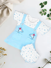 Baby Girls Embroidered Design Fit & Flare Dresses with Briefs