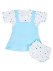 Baby Girls Embroidered Design Fit & Flare Dresses with Briefs