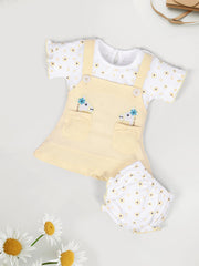 Baby Girls Embroidered Design Fit & Flare Dresses with Briefs